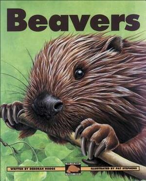 Beavers by Deborah Hodge