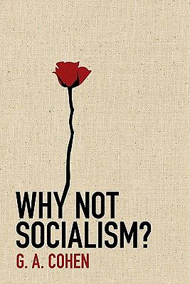 Why Not Socialism? by G.A. Cohen