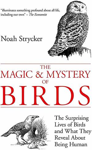 The Magic & Mystery of Birds: The Surprising Lives of Birds and What They Reveal About Being Human by Noah Strycker