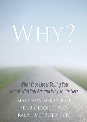 Why?: What Your Life Is Telling You about Who You Are and Why You're Here by Ralph Metzner, Matthew McKay, Seán Ólaoire