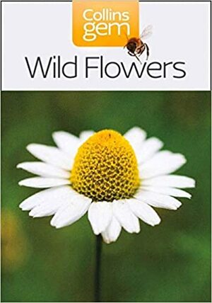 Wild Flowers by Martin Walters