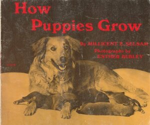 How Puppies Grow by Esther Bubley, Millicent E. Selsam