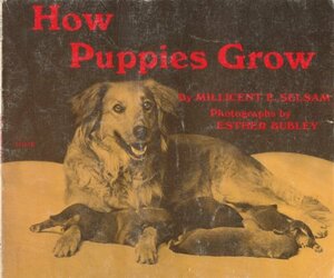 How Puppies Grow by Millicent E. Selsam, Esther Bubley