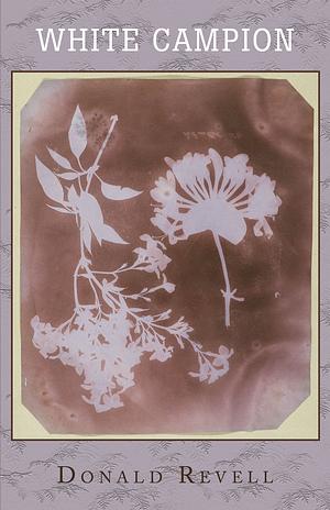 White Campion by Donald Revell