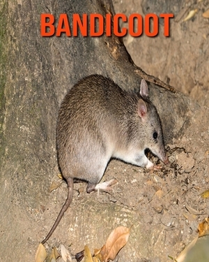 Bandicoot: Learn About Bandicoot and Enjoy Colorful Pictures by Diane Jackson