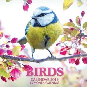Birds Calendar 2019: 16 Month Calendar by Mason Landon