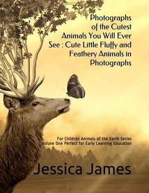 Photographs of the Cutest Animals You Will Ever See: Cute Little Fluffy and Feathery Animals in Photographs: For Children Animals of the Earth Series by Jessica James