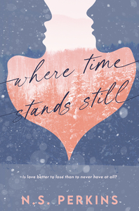 Where Time Stands Still by N.S. Perkins