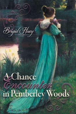 A Chance Encounter inPemberley Woods: A Pride and Prejudice Variation by Brigid Huey