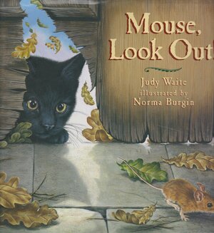 Mouse, Look Out by Judy Waite