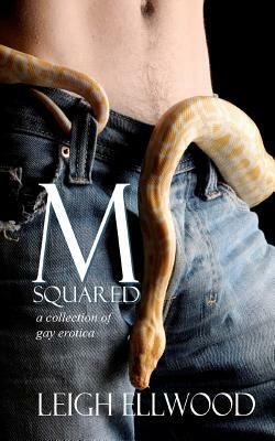 M-Squared: a Collection of Gay Erotica by Leigh Ellwood