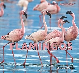 Flamingos by Maddie Gibbs