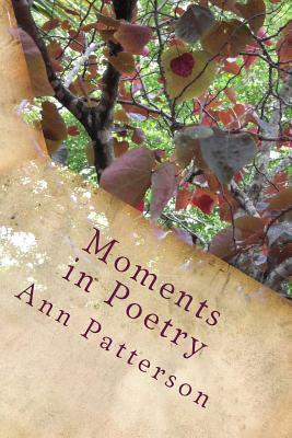 Moments in Poetry: Poems of reflection, social and family, historical persons and events, life itself by Ann Patterson