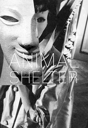 Animal Shelter, Issue 3 by Hedi El Kholti