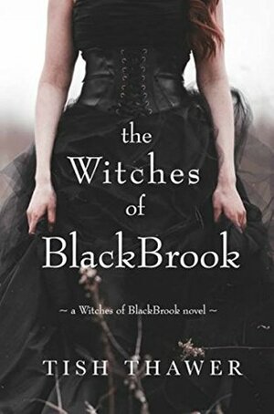The Witches of BlackBrook by Tish Thawer