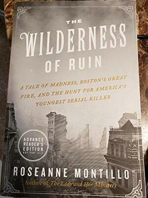 The Wilderness of Ruin by Roseanne Montillo