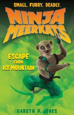 Escape from Ice Mountain by Gareth P. Jones