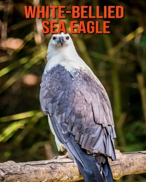 White-Bellied Sea Eagle: Learn About White-Bellied Sea Eagle and Enjoy Colorful Pictures by Matilda Leo