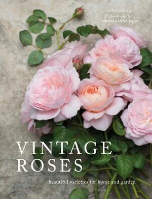 Vintage Roses: Beautiful Varieties for Home and Garden by Jane Eastoe