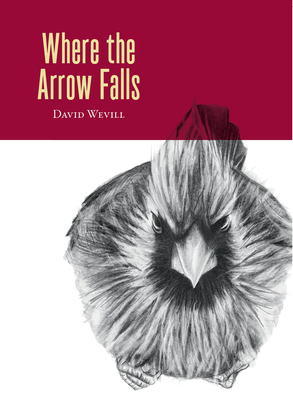 Where the Arrow Falls by David Wevill
