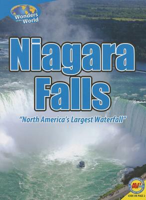 Niagara Falls by Steve Goldsworthy