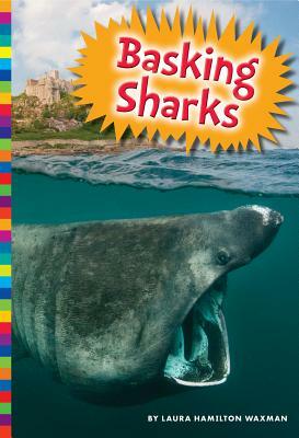 Basking Sharks by Laura Hamilton Waxman