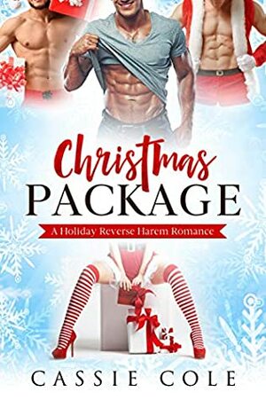 Christmas Package by Cassie Cole