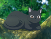 koveshel's profile picture