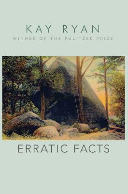 Erratic Facts by Kay Ryan