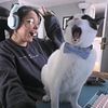 silverscripts's profile picture