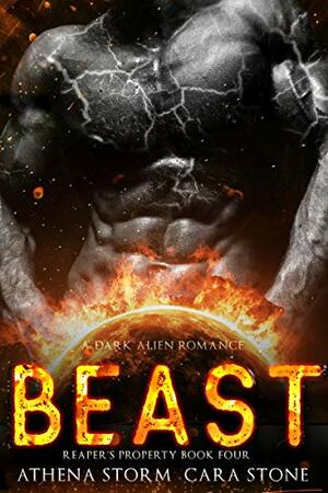 Beast by Athena Storm, Cara Stone