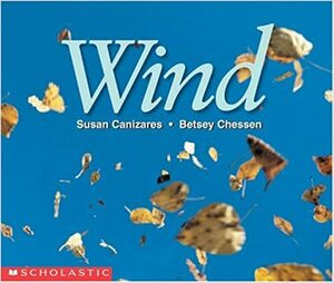 Wind by Susan Cañizares, Betsey Chessen