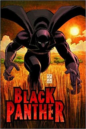 Pantera Negra: Quem é o Pantera Negra? by Reginald Hudlin