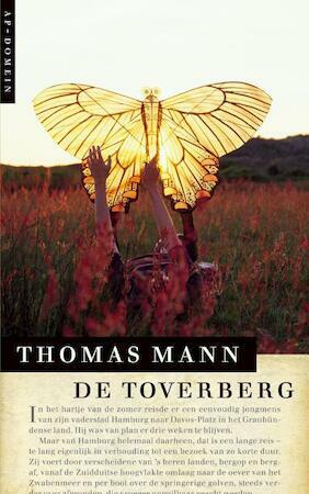De Toverberg by Thomas Mann
