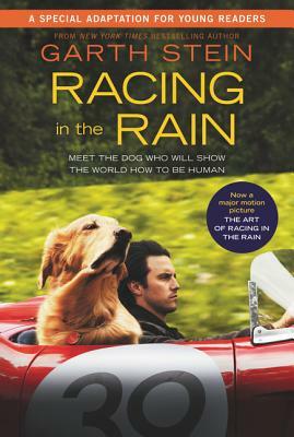 Racing in the Rain by Garth Stein