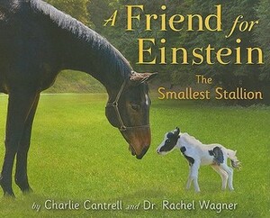 A Friend for Einstein, the Smallest Stallion by Charlie Cantrell, Rachel Wagner