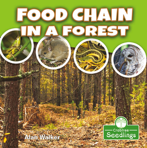 Food Chain in a Forest by Alan Walker