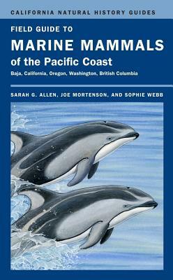 Field Guide to Marine Mammals of the Pacific Coast by Joe Mortenson, Sarah G. Allen, Sophie Webb