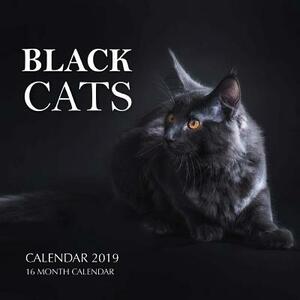 Black Cats Calendar 2019: 16 Month Calendar by Mason Landon