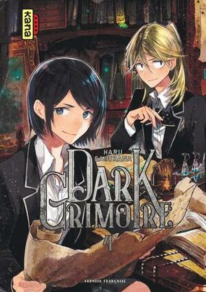 Dark Grimoire, Tome 4 by Sakurana Haru