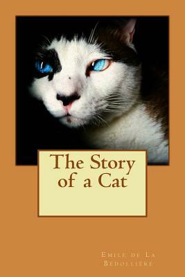 The Story of a Cat by Emile De La Bedolliere