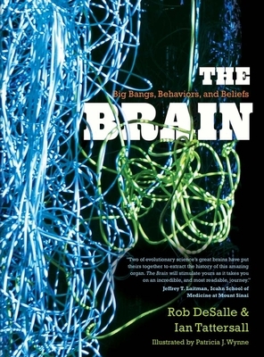 The Brain: Big Bangs, Behaviors, and Beliefs by Rob DeSalle, Ian Tattersall