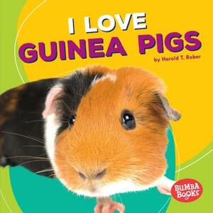 I Love Guinea Pigs by Harold Rober