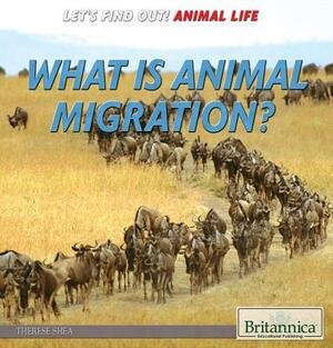 What Is Animal Migration? by Therese Shea