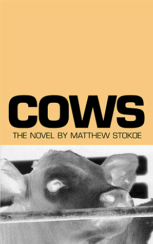 Cows by Matthew Stokoe
