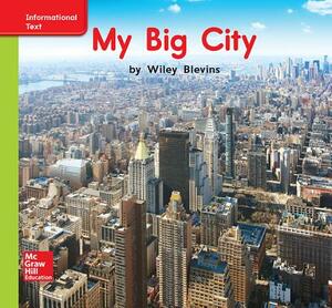 World of Wonders Patterned Book # 5 My Big City by 