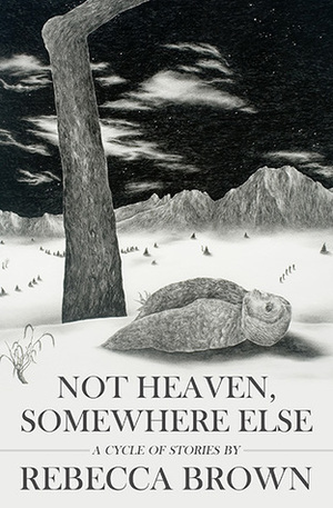 Not Heaven, Somewhere Else by Rebecca Brown