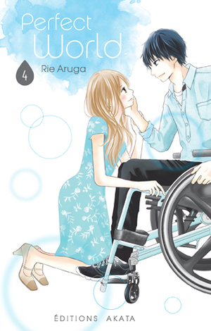 Perfect World, Tome 4 by Rie Aruga