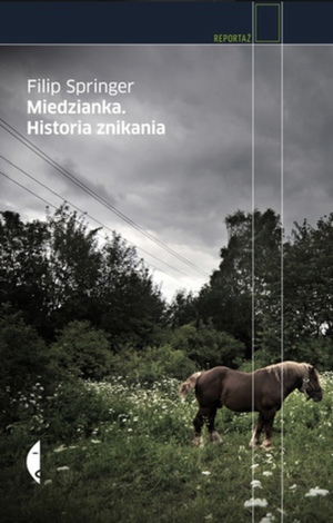 Miedzianka. Historia znikania by Filip Springer