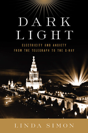 Dark Light: Electricity and Anxiety from the Telegraph to the X-Ray by Linda Simon